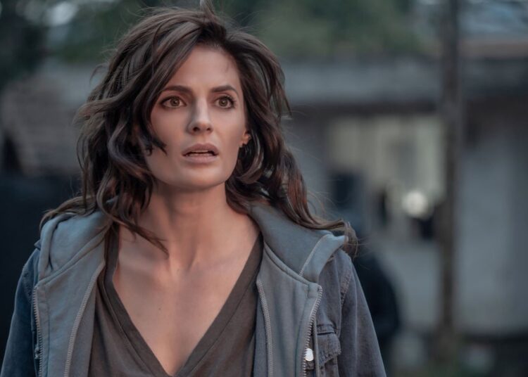 Top Shows To Stream Right Now Besides ‘Absentia’
