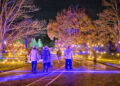 Illumination: Tree Lights at The Morton Arboretum