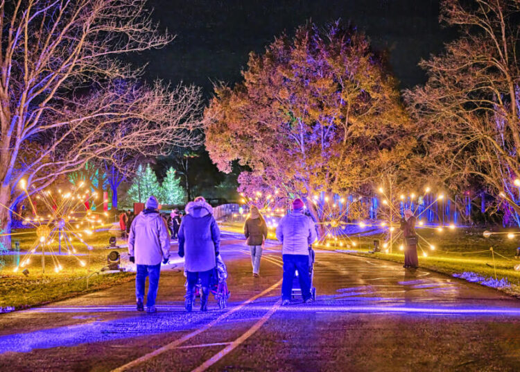 Illumination: Tree Lights at The Morton Arboretum