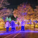 Illumination: Tree Lights at The Morton Arboretum