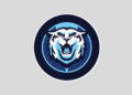 Villanova Wildcats (0-1) vs Queens NC Royals (1-1): Game Chat