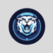 Villanova Wildcats (0-1) vs Queens NC Royals (1-1): Game Chat