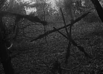 Iconic creepy stick figures in The Blair Witch Project