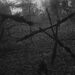 Iconic creepy stick figures in The Blair Witch Project