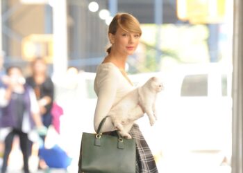 Which Musician's Pets Are Your Favorite? Vote!