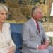 Why Harry’s Camilla comments triggered a “brutal” royal response