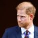 Will Prince Harry Will Lose Title Once Prince William Is King?