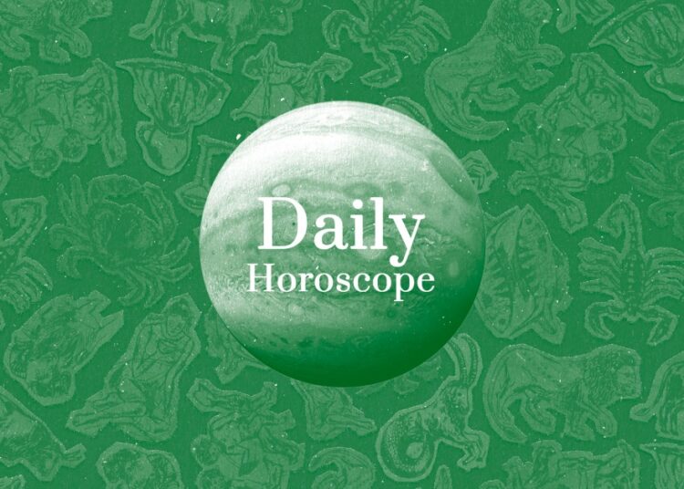 Your Daily Horoscope, According to Lisa Stardust: November 15, 2025