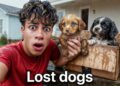I Found Puppies at our Door..