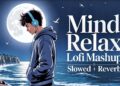 Mind Relax Lofi Song | Mind Relax Lofi Mashup | Mind Fresh Lofi Songs | Slowed and Reverb