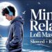 Mind Relax Lofi Song | Mind Relax Lofi Mashup | Mind Fresh Lofi Songs | Slowed and Reverb