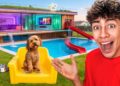 We Built Our Pets the ULTIMATE Dream Space! | The Royalty Family