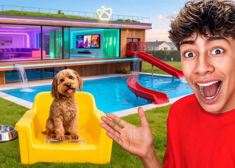 We Built Our Pets the ULTIMATE Dream Space! | The Royalty Family