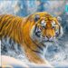 The Coolest 4K Video | Dolby Vision HDR 4K 60fps with Relaxing Music for stress relief