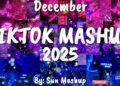 Tiktok Mashup December 💜2025💜 (Not Clean)