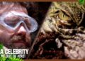 Jack Osbourne battles crocodiles, scorpions and snakes | I’m A Celebrity… Get Me Out of Here! 2025