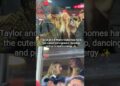 Taylor Swift and Brittany Mahomes Gossip+dance moment’s ✨#taylorswift#brittanymahomes#chiefsgame