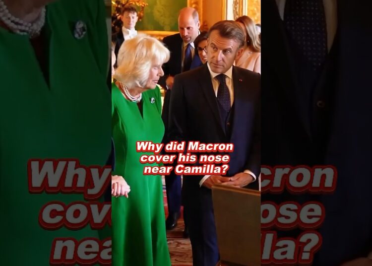 Why did Macron cover his nose near Camilla? #camilla #royal #foryou