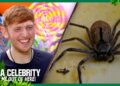 Ginge battles aggressive crabs, spiders & lizards! | I’m A Celebrity… Get Me Out of Here! 2025