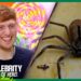 Ginge battles aggressive crabs, spiders & lizards! | I’m A Celebrity… Get Me Out of Here! 2025