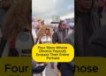 Four Stars Whose Divorce Payouts Surpass Their Entire Fortune #hollywood #celebrity #ytshorts