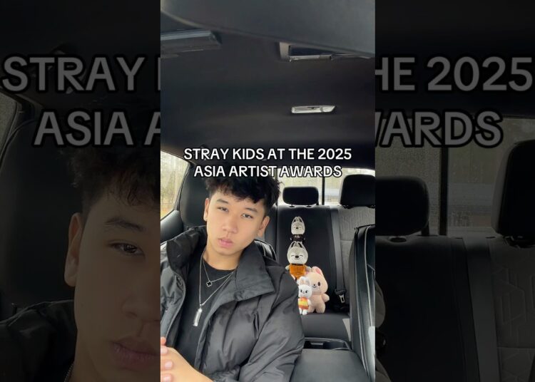 The 2025 Asia Artist Awards #straykids #kpop #shorts #vpp_johnny
