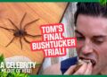 Tom eats SPIDERS and SCORPIONS in disgusting final Trial | I’m A Celebrity… Get Me Out of Here! 2025