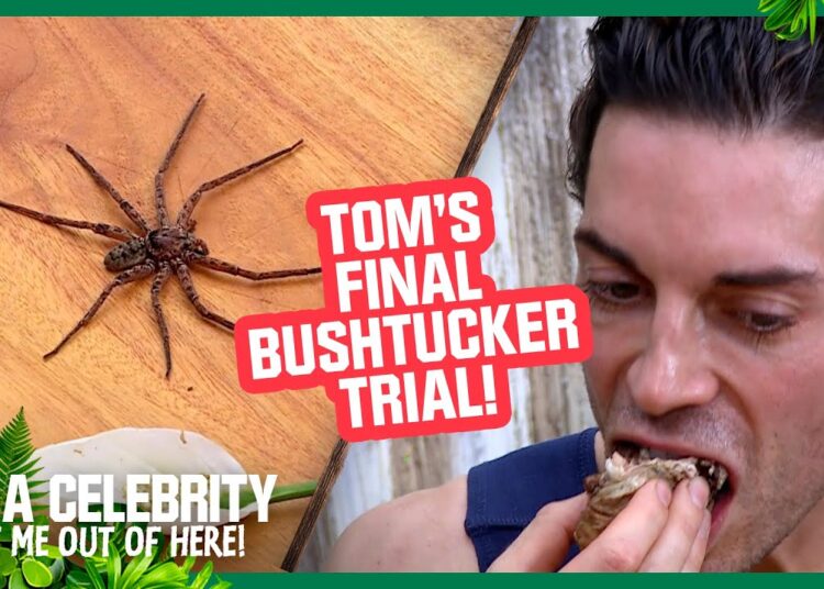 Tom eats SPIDERS and SCORPIONS in disgusting final Trial | I’m A Celebrity… Get Me Out of Here! 2025