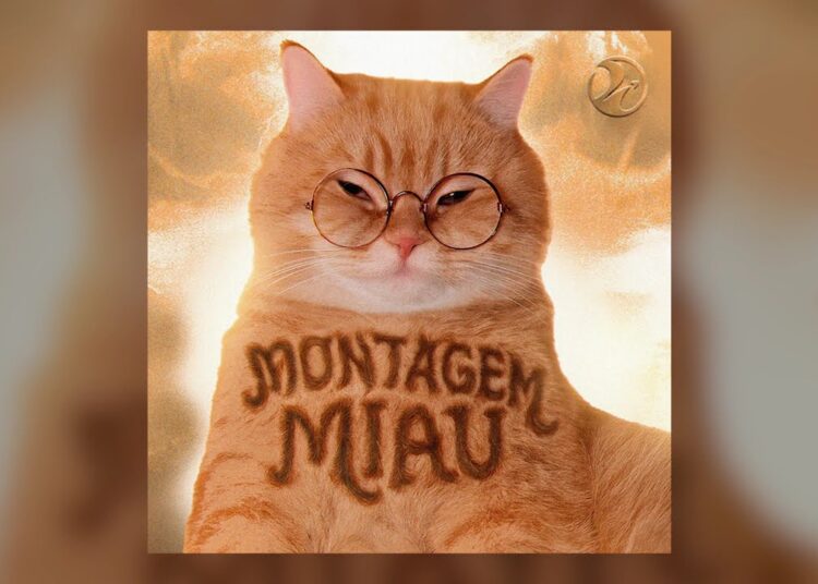 Montagem Miau
