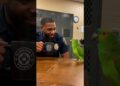 funny parrot gossips🤣🐦🙌