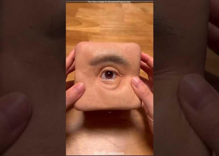 Most Realistic Art Ever