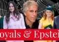 Latest Epstein Royal SHOCK: Princess Sofia of Sweden Revealed to Have Met Jeffery Epstein in 2000s