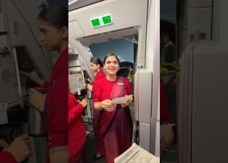 Wait for end 💖 #art #artist #airindia #airhostess