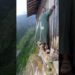 मम्मी खाई में गिर गई🥵 ll Carriage House wooden artist ll #cartoon #shortvideoshortvideo