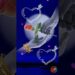 Jis Din Teri Meri Baat Nhi #shorts #MA Letter Name art Video😍Whatsapp status💘||2025 #mh48ankesh