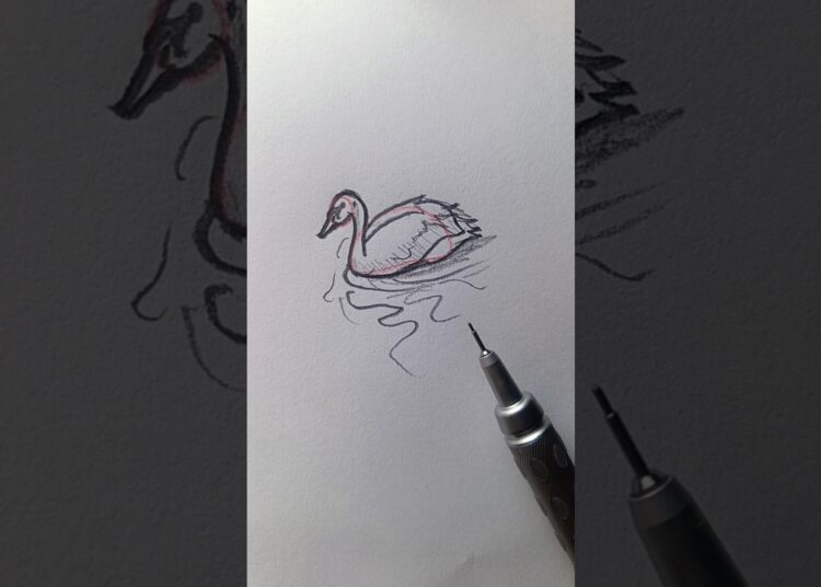 🦢 Swan Drawing – SO EASY! ✨ #foryou #art #drawing #shorts #howtodraw #easydrawing #tutorial #sketch