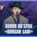 ARTIST SUPER MAVSUM – ABROR DO‘STOV | BORGAN SARI – AHROR USMONOV