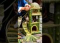 Grandpa made the cat’s favorite house 😂~ Carriage House wooden artist/ #shorts #cartoon #shortvideo