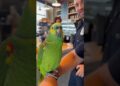 funny parrot gossips with officer🤣🐦🙌#foryourpage #foryoupageシ #viralpost2025