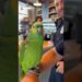 funny parrot gossips with officer🤣🐦🙌#foryourpage #foryoupageシ #viralpost2025