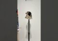 Optical illusion 😱 | #artist #art #falcon #birds #animals #amazing #shorts