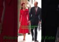 William And Kate Middleton’s Popularity#royal#shorts#trending#katemiddleton