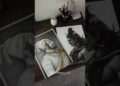 Graphite Art vs Charcoal Art vs Colour Art VS Artist #drawing #shorts