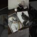 Graphite Art vs Charcoal Art vs Colour Art VS Artist #drawing #shorts