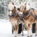 A Countryside Christmas, Soft Holiday Christmas Music, Popular instrumental Carols by Tim Janis
