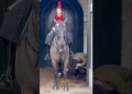 The King’s Guard: A Mysterious Encounter with the Regal Horse 🐴👑”  #Shorts