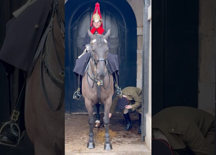The King’s Guard: A Mysterious Encounter with the Regal Horse 🐴👑”  #Shorts