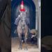 The King’s Guard: A Mysterious Encounter with the Regal Horse 🐴👑”  #Shorts