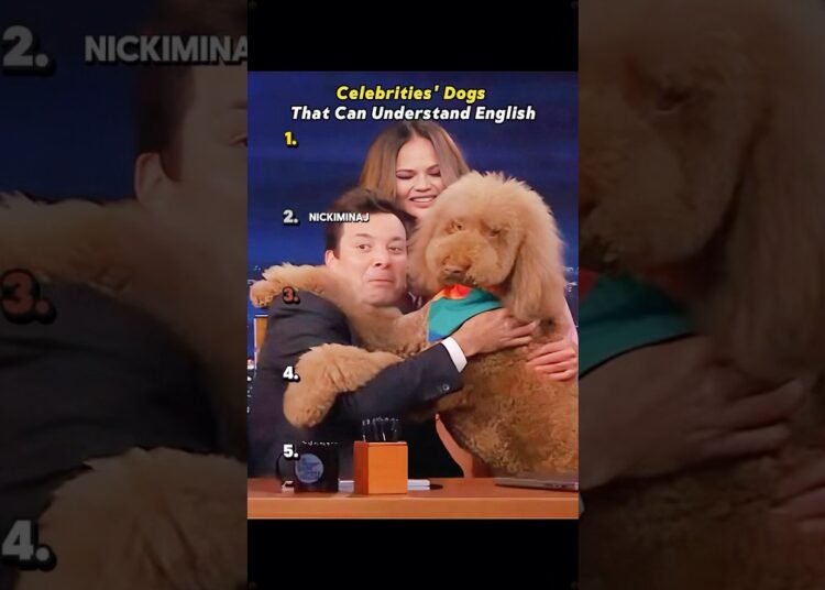 Celebrity dogs can understand English #Celebrities #ArianaGrande #MillieBobbyBrown #NaomiWatts