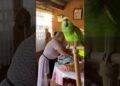 El Chisme Que Sacudió A Toda La Familia